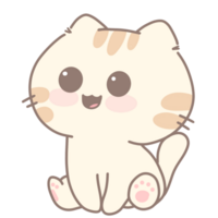 Baby cute cat png