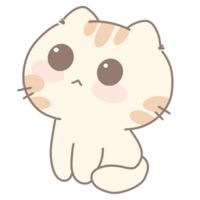 Baby cute cat png