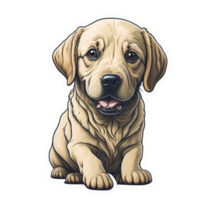 labrador cachorro Castanho png