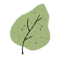 folhas de outono natureza png