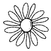 süße blühende blume png