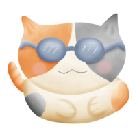 un dibujos animados gato vistiendo Gafas de sol aislado en transparente antecedentes png