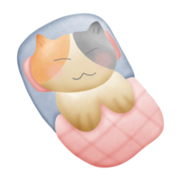 a cat sleeping on a pillow and blanket on top isolated on transparent background png