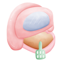 The pink cat toilet has a covered top with sand and a green scoop isolated on transparent background png