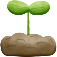 Plants grow out of the soil isolated on transparent background png