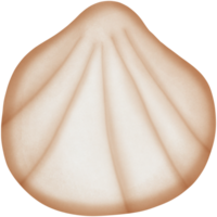 a shellfish isolated on transparent background png