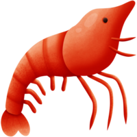 a shrimp isolated on transparent background png