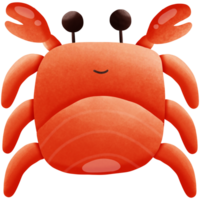 en krabba isolerat på transparent bakgrund png