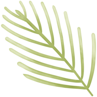 a green leaf isolated on transparent background png