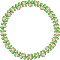 Flowers circle isolated on transparent background png