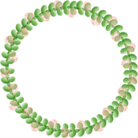 Flowers circle isolated on transparent background png