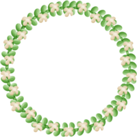 Flowers circle isolated on transparent background png