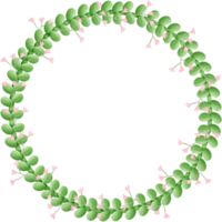 Flowers circle isolated on transparent background png