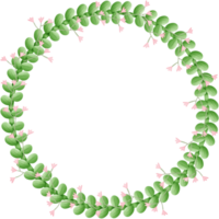 Blumen Kreis isoliert auf transparent Hintergrund png