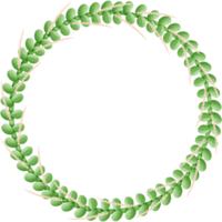 Flowers circle isolated on transparent background png