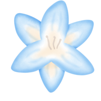 blue orchid flower isolated on transparent background png