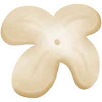 beige flower isolated on transparent background png