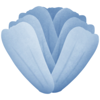 azul flor isolado em transparente fundo png