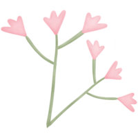 Blume im das Stengel isoliert auf transparent Hintergrund png