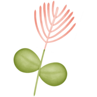 Blume im das Stengel isoliert auf transparent Hintergrund png