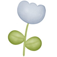 Blume im das Stengel isoliert auf transparent Hintergrund png