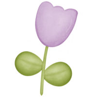 Blume im das Stengel isoliert auf transparent Hintergrund png