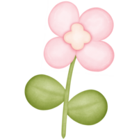 flower in the stem isolated on transparent background png