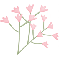 Blumen im das Geäst isoliert auf transparent Hintergrund png