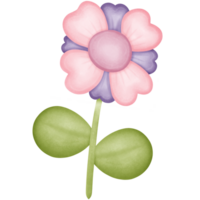 Blume im das Stengel isoliert auf transparent Hintergrund png