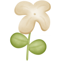 blomma i de stam isolerat på transparent bakgrund png