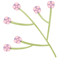 Blumen im das Geäst isoliert auf transparent Hintergrund png