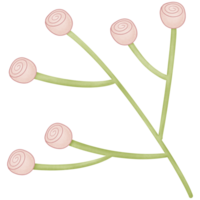 flowers in the branches isolated on transparent background png