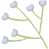 flowers in the branches isolated on transparent background png