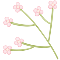flowers in the branches isolated on transparent background png