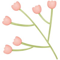 flowers in the branches isolated on transparent background png