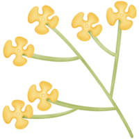 flowers in the branches isolated on transparent background png