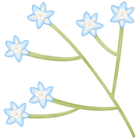 flowers in the branches isolated on transparent background png