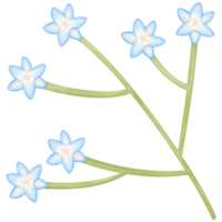 blommor i de grenar isolerat på transparent bakgrund png