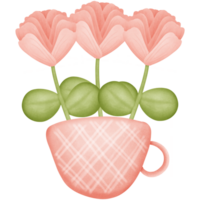 Flowers in cup isolated on transparent background png