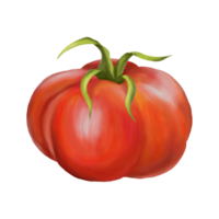 Red ripe fleshy tomato. Digital isolated illustration. Applicable for packaging design, postcards, prints, textiles png