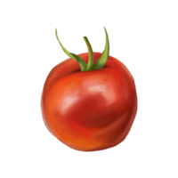 Red ripe fleshy tomato. Digital isolated illustration. Applicable for packaging design, postcards, prints, textiles png