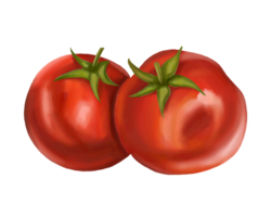 Red ripe fleshy tomato. Digital isolated illustration. Applicable for packaging design, postcards, prints, textiles png