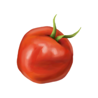 Red ripe fleshy tomato. Digital isolated illustration. Applicable for packaging design, postcards, prints, textiles png