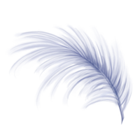 Elegant fluffy bluish feather of a swan, goose. Decorative element for theatrical costumes, carnival outfits, hats, bouquets of flowers and souvenirs. Digital illustration png
