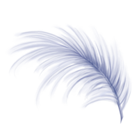 elegante soffice bluastra piuma di un' cigno, oca. decorativo elemento per teatrale costumi, carnevale abiti, cappelli, mazzi di fiori di fiori e souvenir. digitale illustrazione png