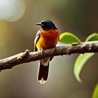 ai generativo pájaro en árbol rama foto