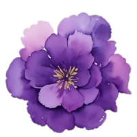 Violet flower watercolor clip art png