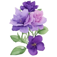 violett Blume Aquarell Clip Kunst png