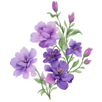 violet fleur aquarelle agrafe art png