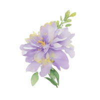Violet flower watercolor clip art png